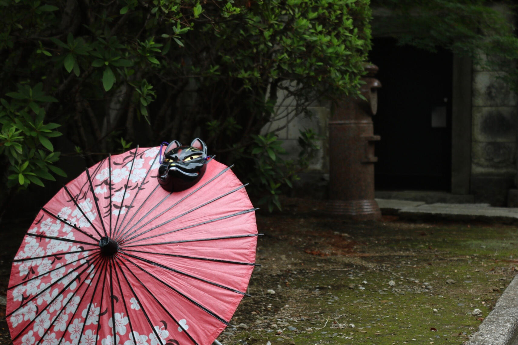A pink Japanese-style umbrella with white floral patterns leans in the foreground, topped by a black cat-shaped ornament. Behind it is a lush green garden with a stone structure and a dark doorway.