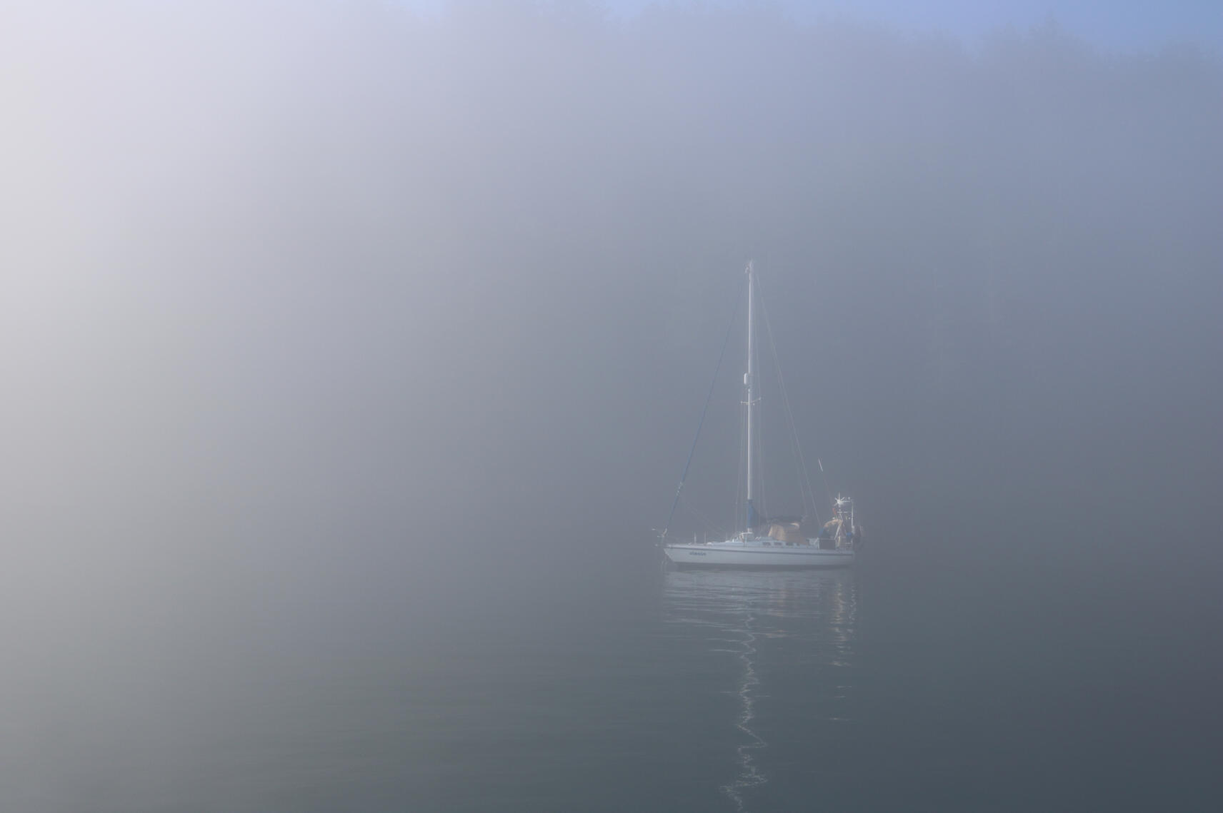 A solitary white sailboat floats on calm, misty water. Fog is around the boat, making it the only one in the picture.