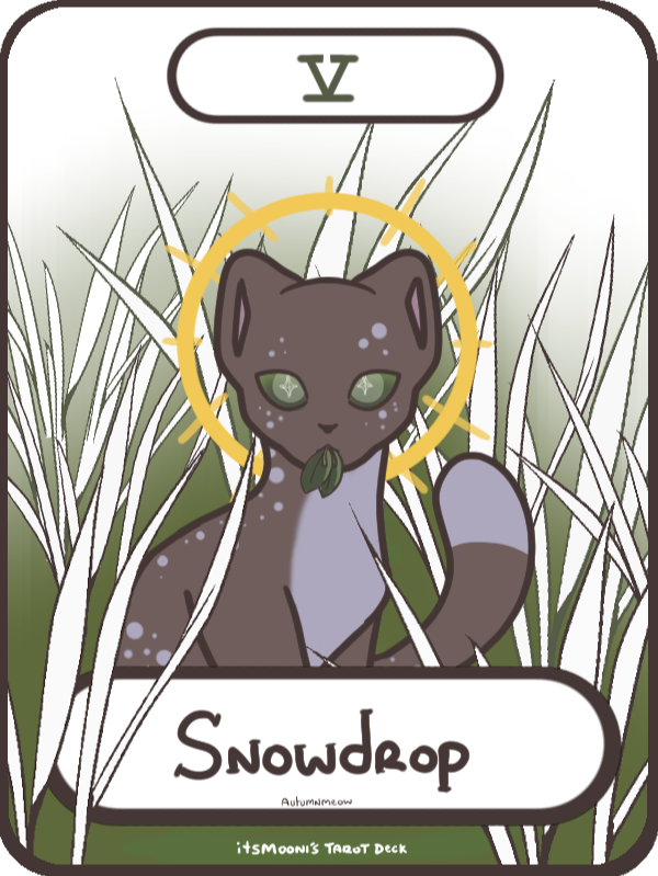 2024 Tarot-card illustration with rectangles at top and bottom. In the top white rectangle, it reads the roman numeral sign for 5. In the bottom rectangle, it reads "Snowdrop." In the center of the card is a illustration of a cat with gray-brown fur sitting.