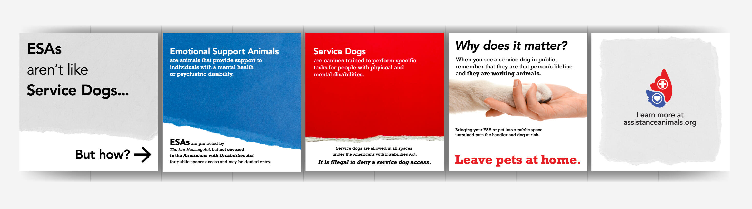 Untitled A multi-panel graphic distinguishing Emotional Support Animals (ESAs) from Service Dogs, using contrasting colors and text to highlight their differences, including legal protections and appropriate public access.