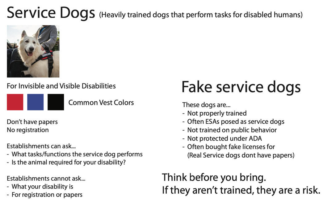 Untitled Educational Moodboard about service dogs and fake service dogs. The left side describes genuine service dogs with a photo of a white dog wearing a service dog vest, and information about disability access. The right side describes fake service dogs.